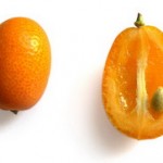 Kumkvat voće mini pomorandže fortunela