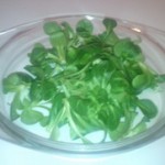 Matovilac salata uzgoj priprema recepti