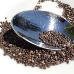 Čia (Chia) semenke jedan od najboljih izvora omega 3 na svetu